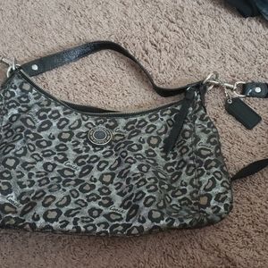 Leopard Coach Bag